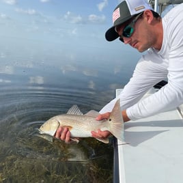 Florida Keys Skinny Water