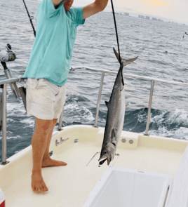 Orange Beach Trolling and Reefing