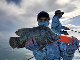 Tripletail Fishing in Key Largo, Florida