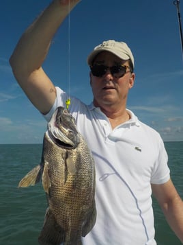 Tripletail Fishing in Key Largo, Florida