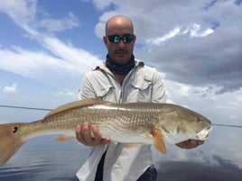 Redfish Fishing in Key Largo, Florida