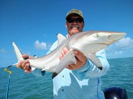 Blacktip Shark Fishing in Big Pine Key, Florida