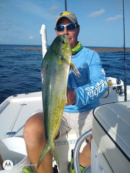 Mahi Mahi Fishing in Big Pine Key, Florida