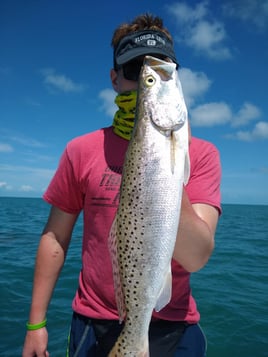 Speckled Trout Fishing in Big Pine Key, Florida