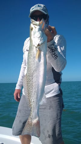 Speckled Trout Fishing in Big Pine Key, Florida