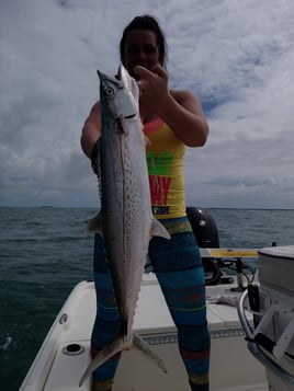 Cero Mackerel Fishing in Big Pine Key, Florida