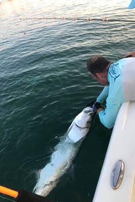 Tarpon Fishing in Islamorada, Florida