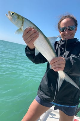 Ladyfish Fishing in Islamorada, Florida