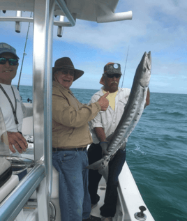 Barracuda Fishing in Naples, Florida