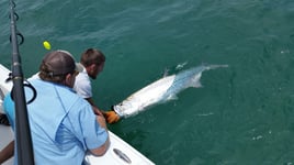 Tarpon Fishing in Placida, Florida