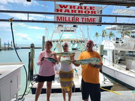 The Legendary & Classic Fishing Trips of Islamorada