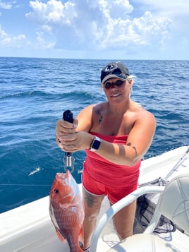 Red Snapper Fishing in Niceville, Florida