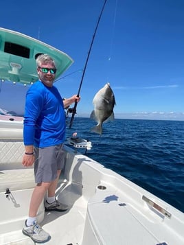 Triggerfish Fishing in Niceville, Florida