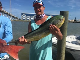 Mahi Mahi Fishing in Freeport, Texas