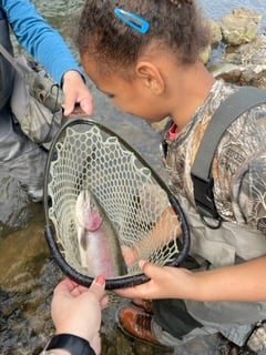 Lower Mountain Fork River