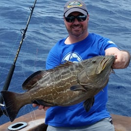 Islamorada Reef and Wrecks