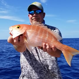 Islamorada Reef and Wrecks