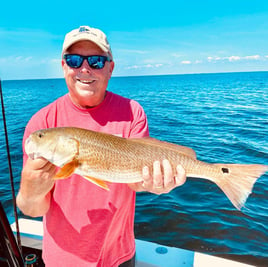 Fort Myers Inshore Redfish Roundup