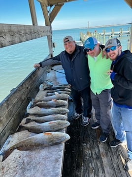 Nueces Bay "Texas Trio"