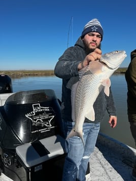 Nueces Bay "Texas Trio"