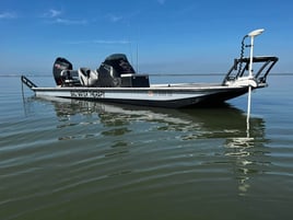 Nueces Bay "Texas Trio"