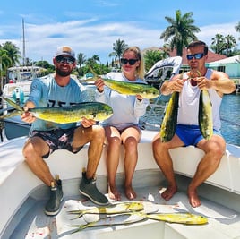 Mahi Mahi Fishing in Riviera Beach, Florida