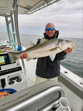 Stone Harbor Inshore/Nearshore