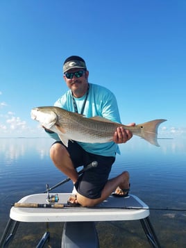 Redfish Fishing in Key Largo, Florida