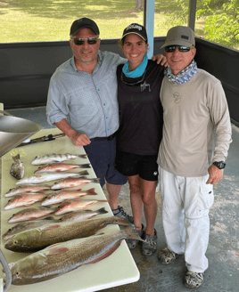 Everglades Action