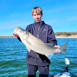 Striper Fishing Lake Whitney