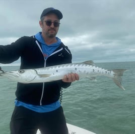 Barracuda Fishing in Islamorada, Florida