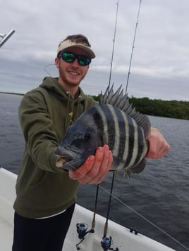 Sheepshead Fishing in Fort Myers Beach, Florida