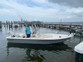 Gulf Coast Bites by the Shore