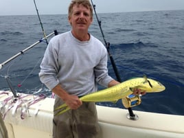 Mahi Mahi Fishing in Marathon, Florida