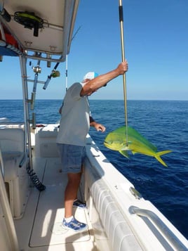 Mahi Mahi Fishing in Marathon, Florida