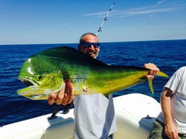 Mahi Mahi Fishing in Marathon, Florida