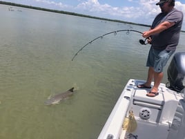 Galveston Bay Trophy Trout