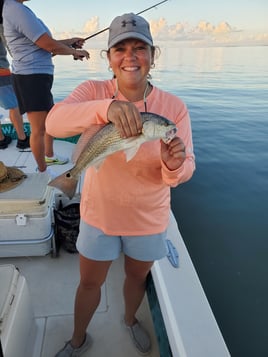 Galveston Bay Trophy Trout