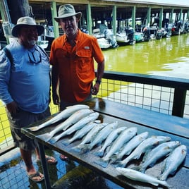 Galveston Bay Trophy Trout