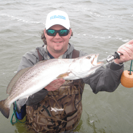 Galveston Bay Trophy Trout