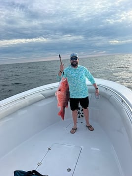 Red Snapper Fishing in Gulf Shores, Alabama