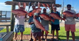 Red Snapper Fishing in Gulf Shores, Alabama