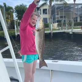 Redfish Fishing in Fort Myers, Florida