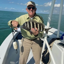 Sheepshead Fishing in Fort Myers, Florida