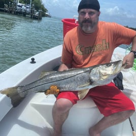 Snook Fishing in Fort Myers, Florida