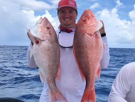 Red Snapper Fishing in Cape Coral, Florida