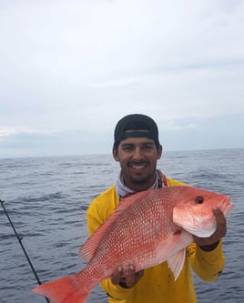 Red Snapper Fishing in Cape Coral, Florida