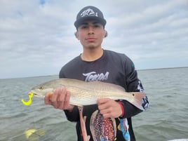 Wading the Laguna Madre