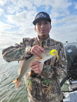 Wading the Laguna Madre