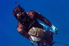 Blue Water Offshore Spearfishing